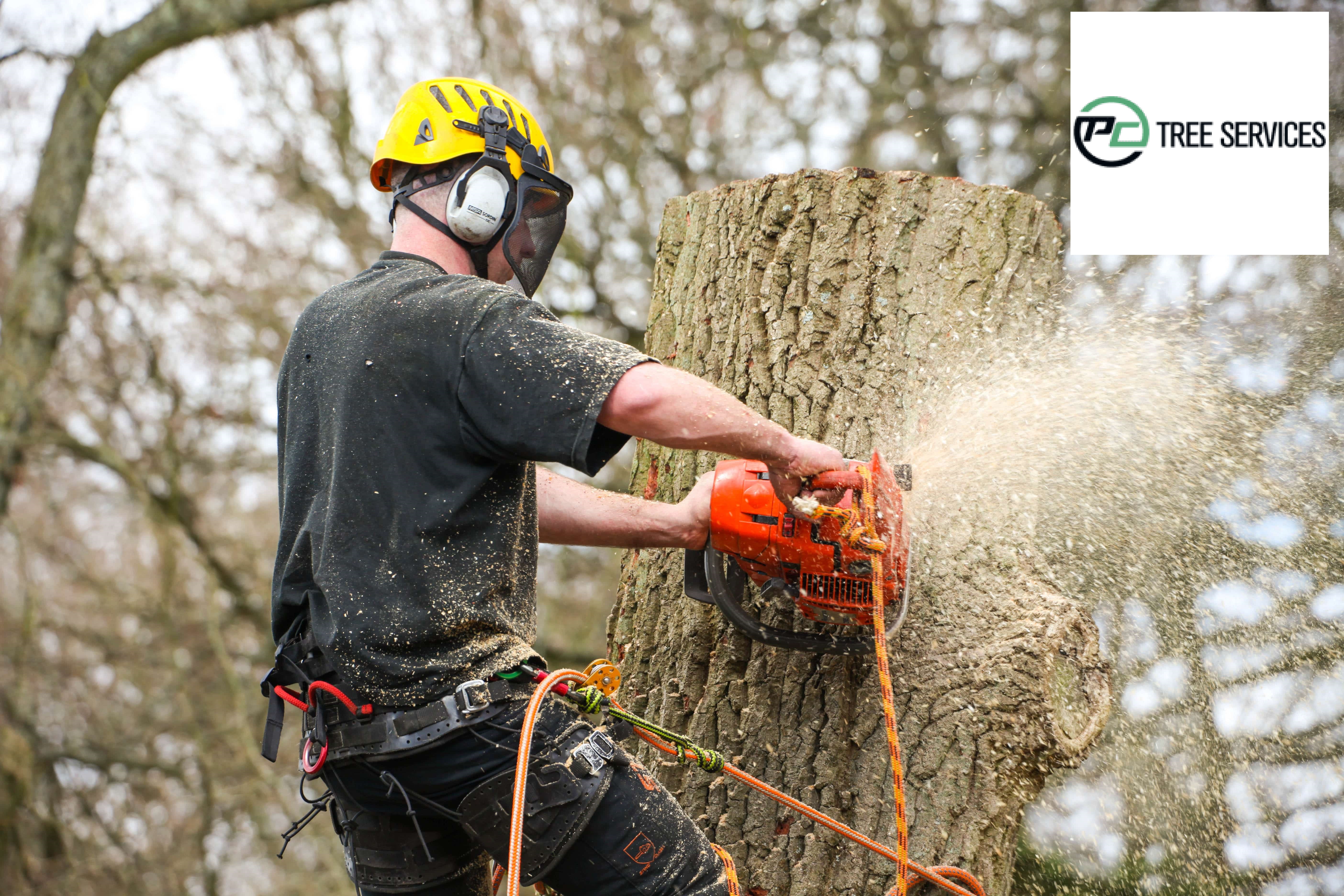 Melbourne Tree Removal
